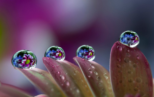906264 (a): :2048x1285